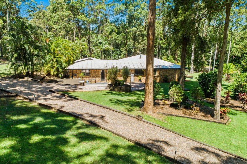 Photo - 24 Eudlo Flats Road, Kiels Mountain QLD 4559 - Image 17