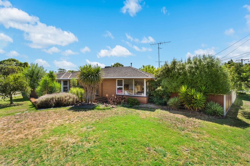 24 Fairfield Avenue, Belmont VIC 3216