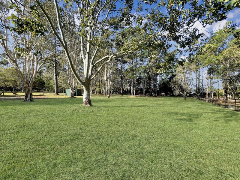 Photo - 24 Fairmount Street, Elimbah QLD 4516 - Image 23