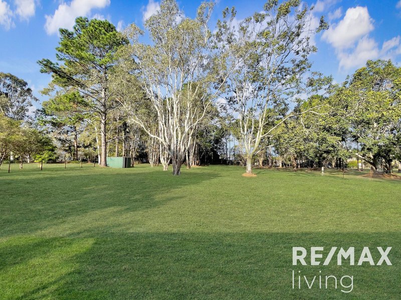 Photo - 24 Fairmount Street, Elimbah QLD 4516 - Image 22