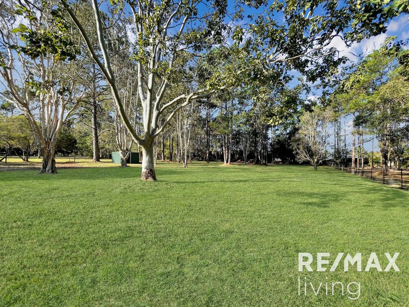 Photo - 24 Fairmount Street, Elimbah QLD 4516 - Image 23