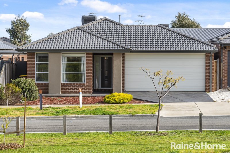 24 Festival Street, Diggers Rest VIC 3427