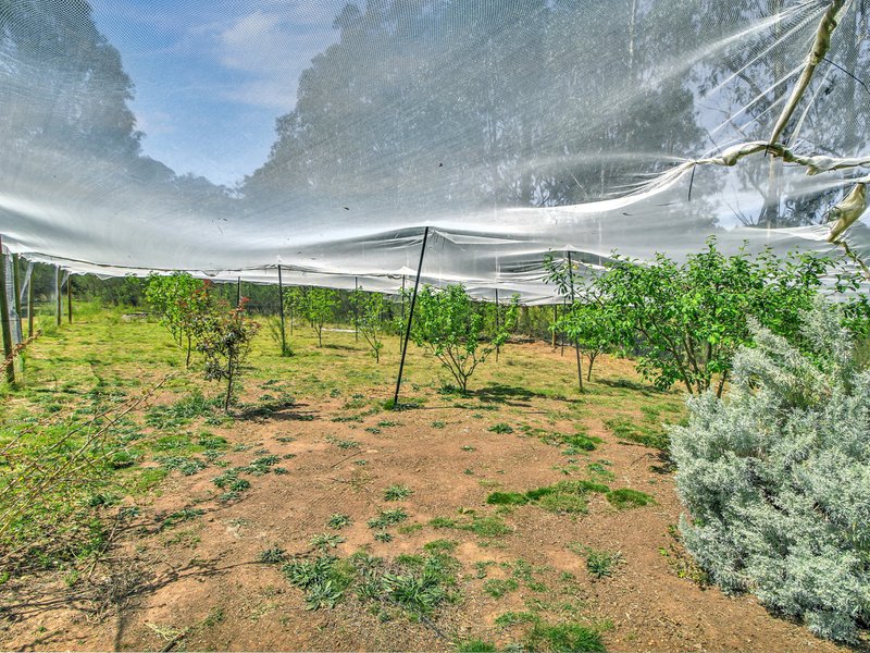 Photo - 24 Gardam Court, Bruthen VIC 3885 - Image 11