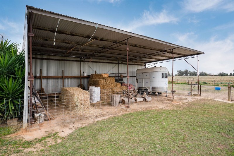 Photo - 24 Hamilton Street, Culcairn NSW 2660 - Image 8