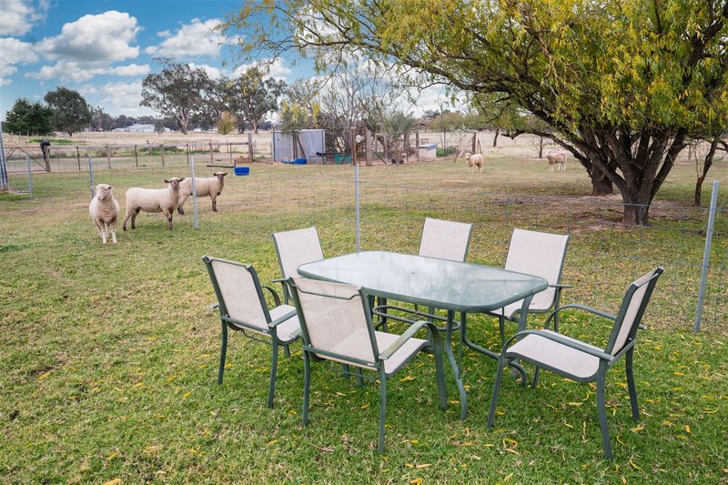 Photo - 24 Hamilton Street, Culcairn NSW 2660 - Image 11