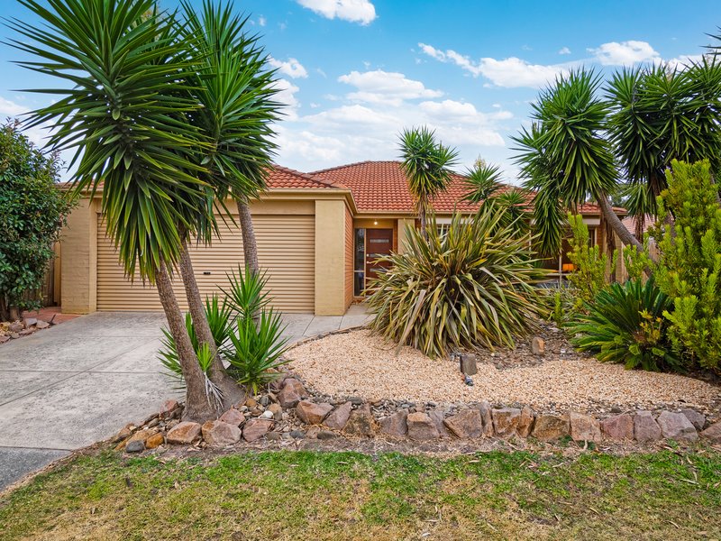 24 Hasluck Crescent, Lynbrook VIC 3975