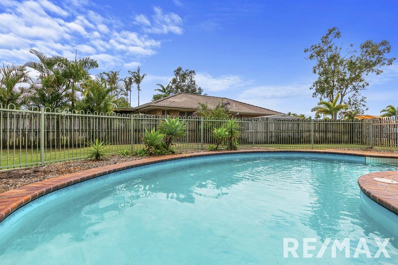 Photo - 24 Ibis Boulevard, Eli Waters QLD 4655 - Image 17