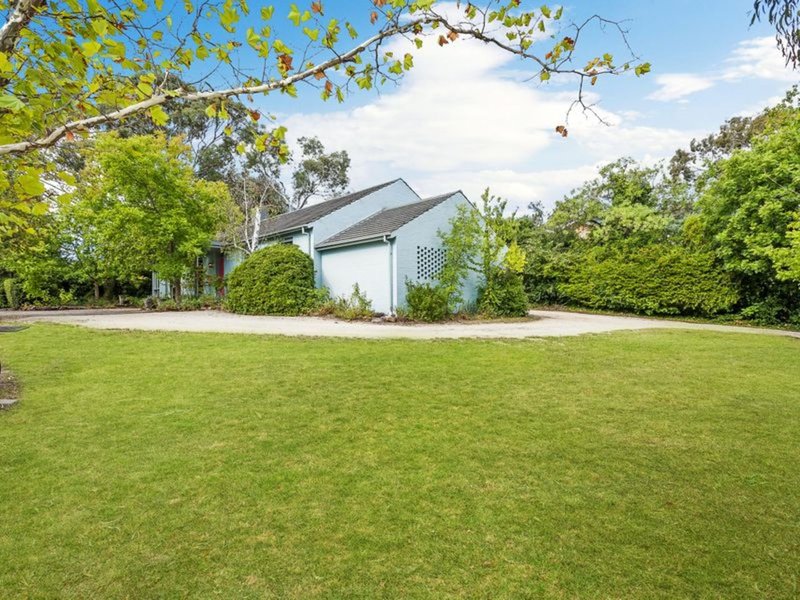 Photo - 24 Irwin Street, Yarralumla ACT 2600 - Image 9