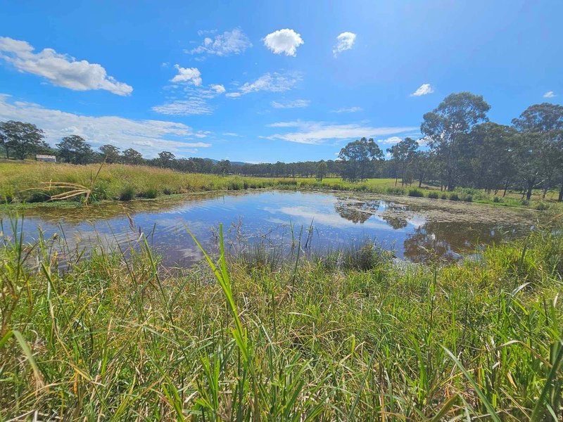 Photo - 24 Junction Road, Kerry QLD 4285 - Image 9