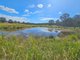 Photo - 24 Junction Road, Kerry QLD 4285 - Image 9