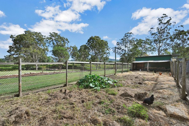 Photo - 24 Junction Road, Kerry QLD 4285 - Image 15