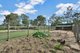 Photo - 24 Junction Road, Kerry QLD 4285 - Image 15