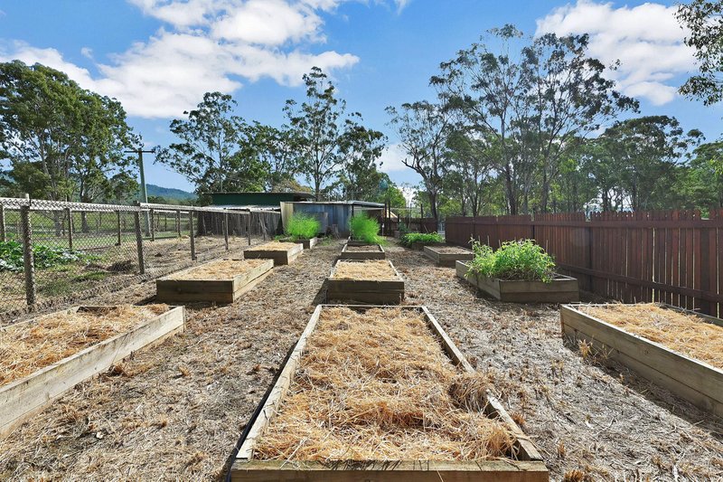 Photo - 24 Junction Road, Kerry QLD 4285 - Image 16