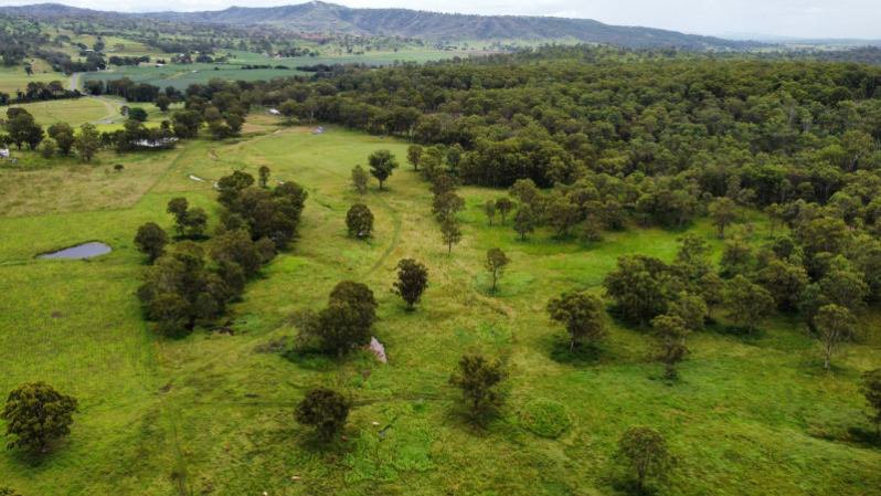 Photo - 24 Junction Road, Kerry QLD 4285 - Image 29