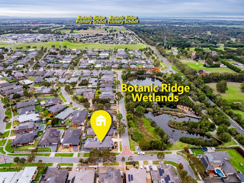 Photo - 24 Kendon Drive, Botanic Ridge VIC 3977 - Image 3