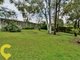 Photo - 24 Kestrel Street, Aroona QLD 4551 - Image 16