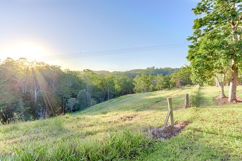 Photo - 24 King Parrot Lane, Black Mountain QLD 4563 - Image 21