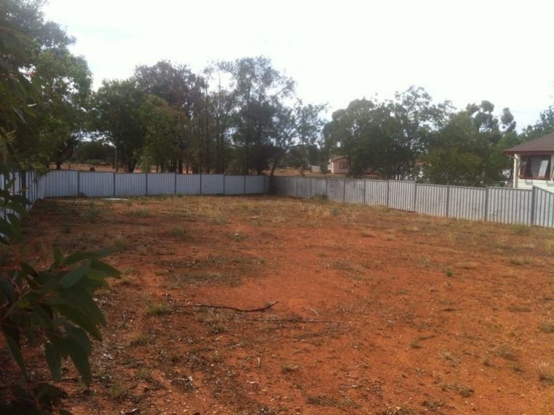 Photo - 24 Kurrajong Circle, Cobar NSW 2835 - Image 3