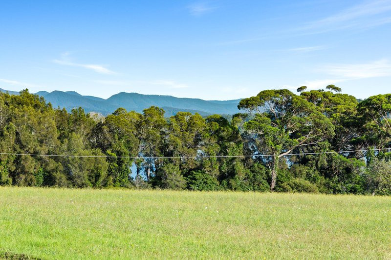 Photo - 24 Lake Street, Tuross Head NSW 2537 - Image 23