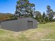 Photo - 24 Lindsay Street, Old Grevillia NSW 2474 - Image 5