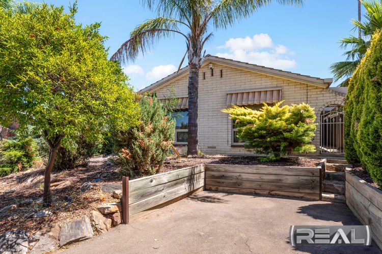 Photo - 24 Lobelia Road, Modbury North SA 5092 - Image 6