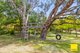 Photo - 24 Majors Close, Wamboin NSW 2620 - Image 25
