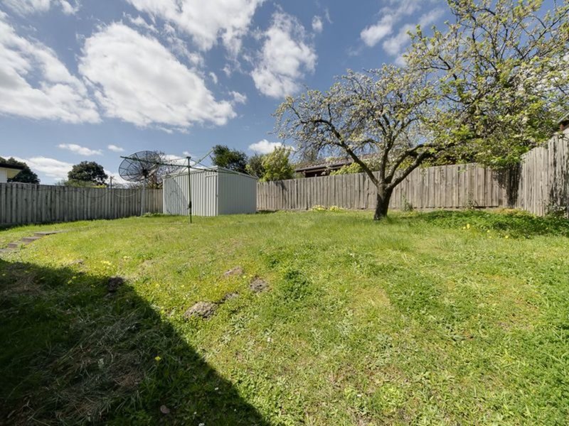 Photo - 24 Middleborough Rd , Burwood East VIC 3151 - Image 8