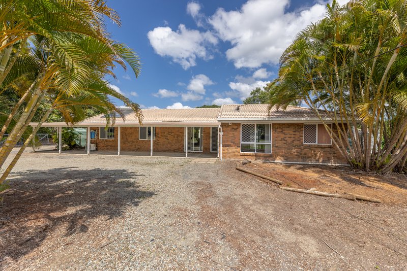 Photo - 24 Morris Road, Elimbah QLD 4516 - Image 3