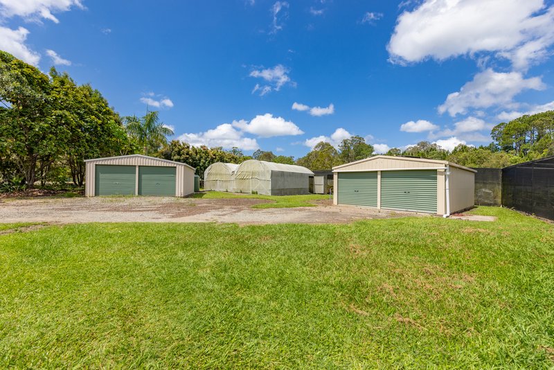 Photo - 24 Morris Road, Elimbah QLD 4516 - Image 10