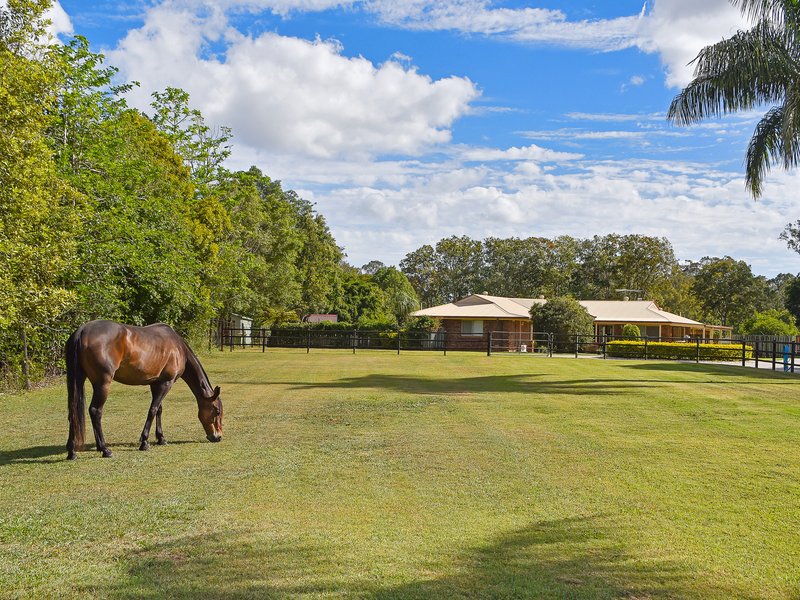 Photo - 24 Mountaintrack Drive, Wamuran QLD 4512 - Image 20