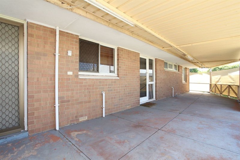 Photo - 24 Napier Road, Morley WA 6062 - Image 13