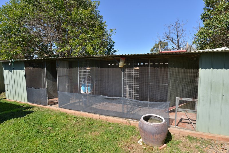 Photo - 24 Napier Street, Binnaway NSW 2395 - Image 12