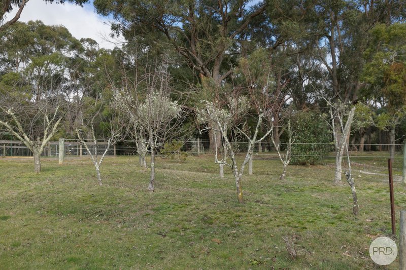 Photo - 24 Nintingbool Road, Smythes Creek VIC 3351 - Image 29