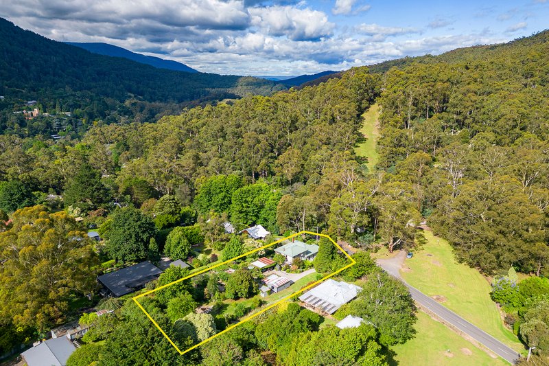 Photo - 24 Old Warburton Road, Warburton VIC 3799 - Image 23