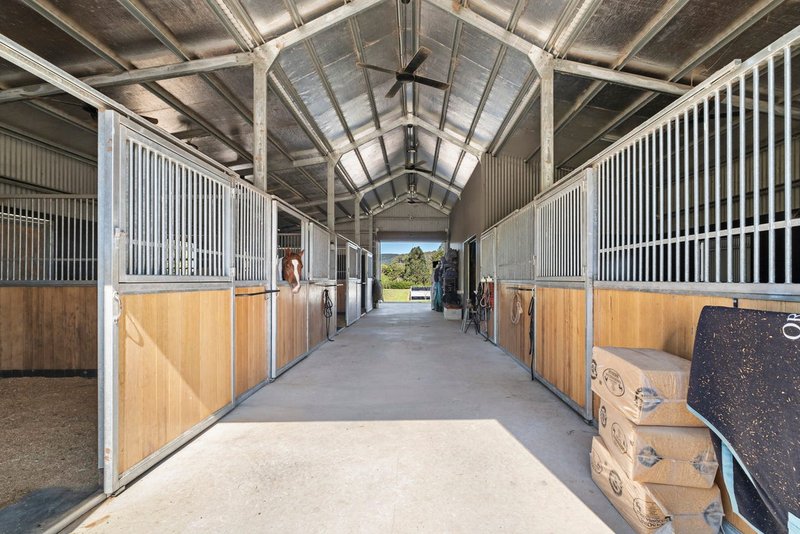 Photo - 24 Paddy Melon Lane, Belli Park QLD 4562 - Image 3