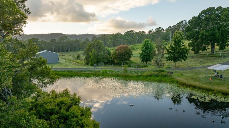 Photo - 24 Paddy Melon Lane, Belli Park QLD 4562 - Image 13