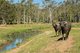 Photo - 24 Paddy Melon Lane, Belli Park QLD 4562 - Image 14
