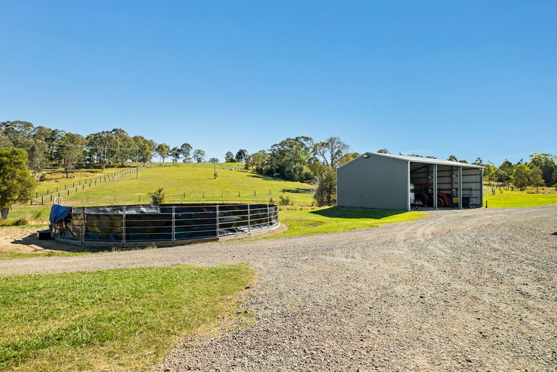 Photo - 24 Paddy Melon Lane, Belli Park QLD 4562 - Image 19
