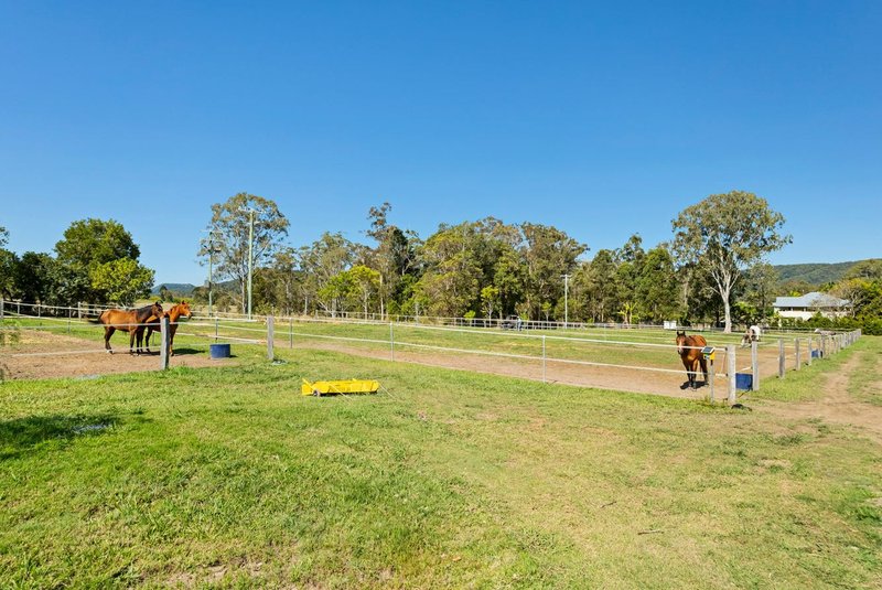 Photo - 24 Paddy Melon Lane, Belli Park QLD 4562 - Image 30