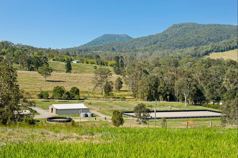 Photo - 24 Paddy Melon Lane, Belli Park QLD 4562 - Image 34