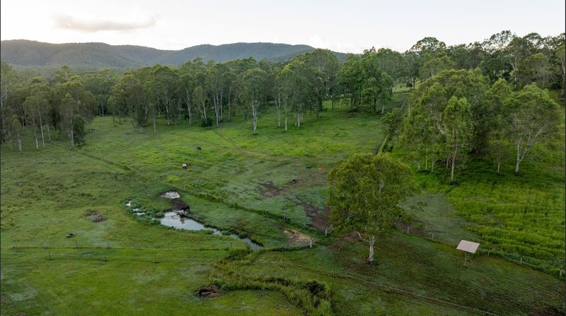 Photo - 24 Paddy Melon Lane, Belli Park QLD 4562 - Image 35