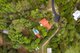 Photo - 24 Panavista Crescent, Doonan QLD 4562 - Image 22