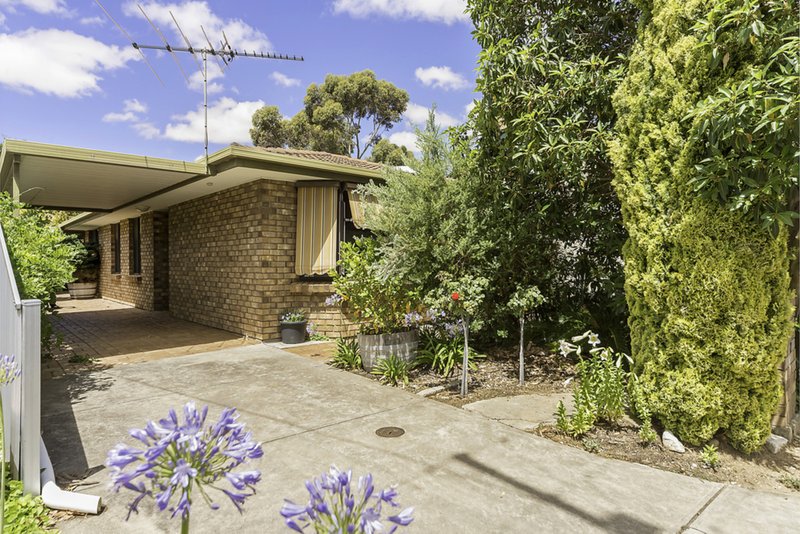 24 Panter Street, Willaston SA 5118