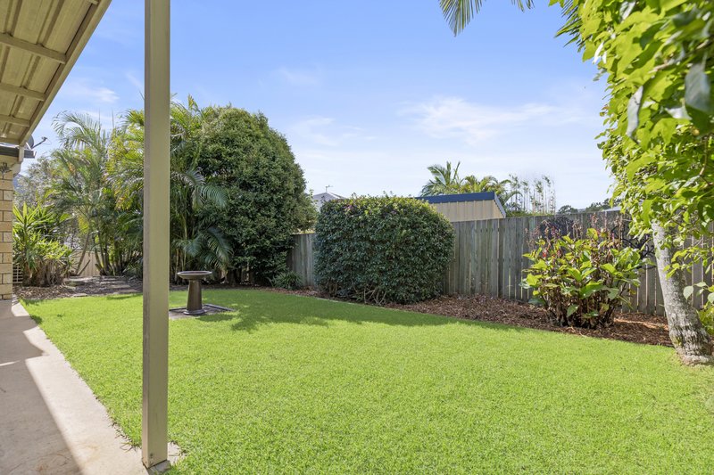 Photo - 24 Picnic Place, Canungra QLD 4275 - Image 14