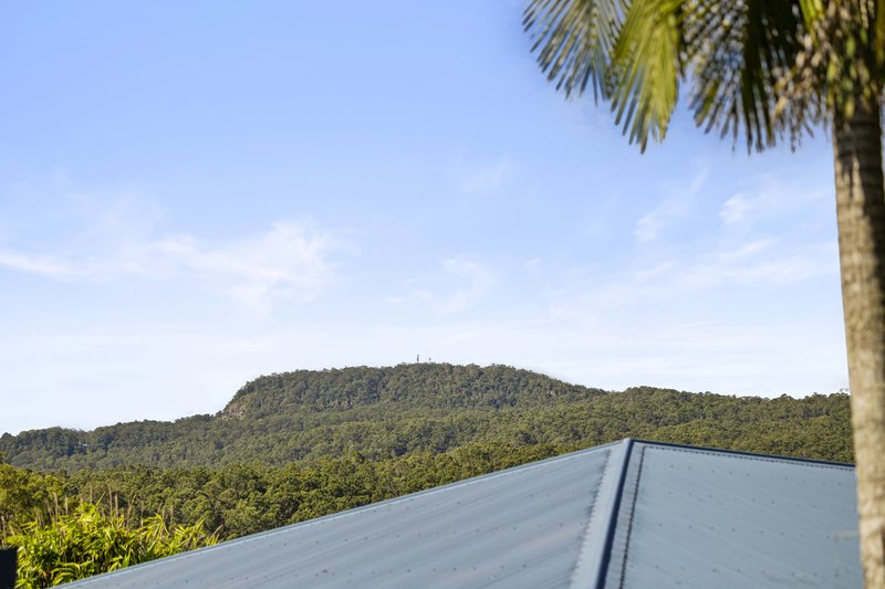 Photo - 24 Picnic Place, Canungra QLD 4275 - Image 15