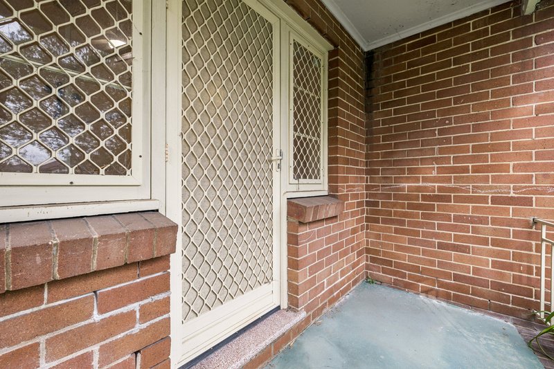 Photo - 24 Pomeroy Street, North Strathfield NSW 2137 - Image 11