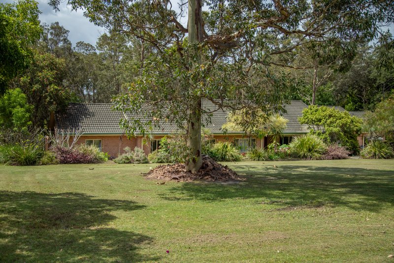 Photo - 24 Potoroo Drive, Taree NSW 2430 - Image 5