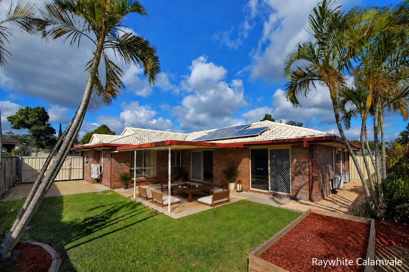 Photo - 24 Reardon Street, Calamvale QLD 4116 - Image 16