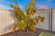 Photo - 24 Rody Court, Munno Para West SA 5115 - Image 22