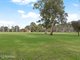 Photo - 24 Roslind Street, Kensington Gardens SA 5068 - Image 19